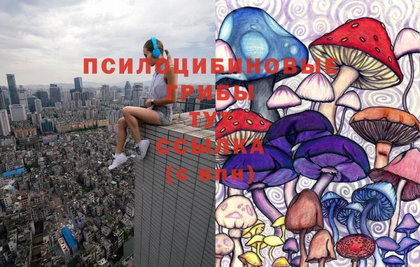 jwh Вязьма