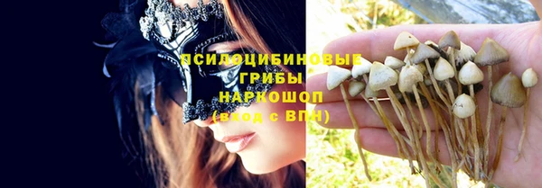 jwh Вязьма