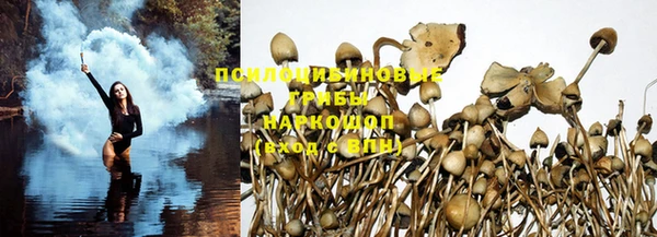 мдма Вяземский